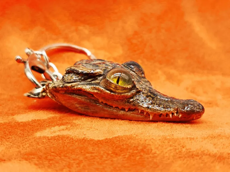 il_794xN.6834843674_fqno Ethically Sourced Baby Crocodile Taxidermy Keychain - Image 1