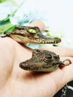 Ethically Sourced Baby Crocodile Taxidermy Keychain - Image 3